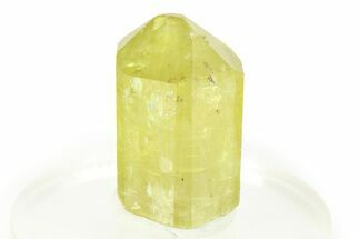 Gemmy Yellow-Green Apatite Crystal - Morocco #276511