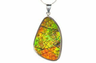 Stunning Ammolite Pendant (Necklace) - Sterling Silver #278417