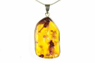 Polished Baltic Amber Pendant (Necklace) - Sterling Silver #279183