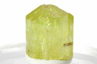 Gemmy Yellow-Green Apatite Crystal - Morocco #276549