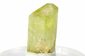 Gemmy Yellow-Green Apatite Crystal - Morocco #276550