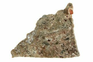 Polished Lunar Meteorite Slice ( g) - Tisserlitine #280684