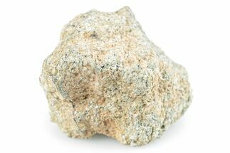 Martian Shergottite Meteorite ( g) - NWA #280947