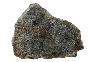 Diogenite Meteorite ( g) Slice - From Vesta Micro-Planet #281010