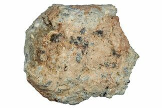 Lunar Meteorite ( g) - Bechar #281673