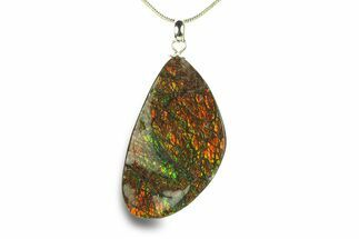 Brilliant Ammolite Pendant (Necklace) - Alberta, Canada #282465