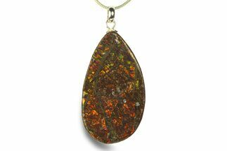 Brilliant Ammolite Pendant (Necklace) - Alberta, Canada #282467