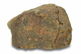 Gold Basin Chondrite Meteorite ( g) - Arizona #282831