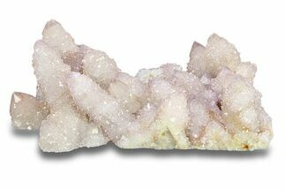 Cactus Quartz (Amethyst) Crystal Cluster - South Africa #283982