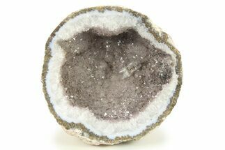 Las Choyas Coconut Geode Half with Amethyst - Mexico #284083
