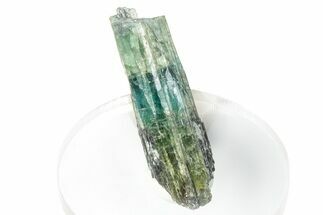 Colorful Tourmaline (Elbaite) Crystal - Leduc Mine, Quebec #284366