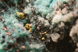 Native Copper and Gold in Shattuckite - Namibia #284504