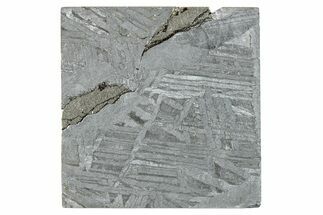 Aletai Iron Meteorite Slice ( g) - Xinjiang, China #272208