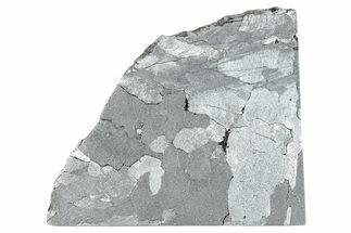 Etched Uruacu Iron Meteorite Slice ( g) - Brazil #272273
