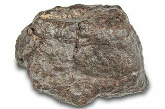 Chondrite Meteorite (g) - Western Sahara Desert #285361