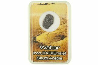 Iron Meteorite (IIIAB) Slice ( g) - Wabar #286058