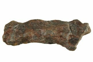 Canyon Diablo Iron Meteorite ( g) - Arizona #287620