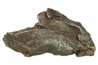 Sikhote-Alin Iron Meteorite Shrapnel ( g) - Russia #287760