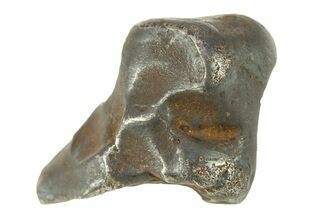 Fusion Crusted Sikhote-Alin Iron Meteorite ( g) - Russia #287852