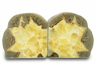 Beautiful Septarian Geode Bookends - Utah #288945