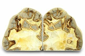 Beautiful Septarian Geode Bookends - Utah #288949