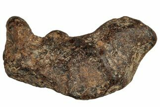 Agoudal Iron Meteorite ( g) - Morocco #288915