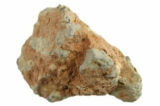 Lunar Meteorite ( g) - Bechar #288467