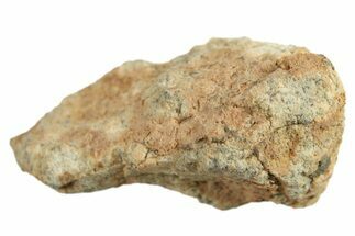 Lunar Meteorite ( g) - Bechar #288469