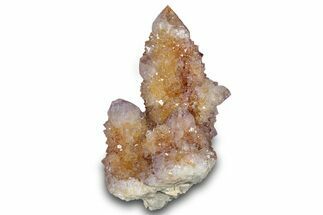 Sparkling Cactus Amethyst Crystal Cluster - South Africa #289810
