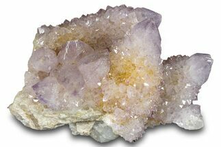 Sparkling Cactus Amethyst Crystal Cluster - South Africa #289821