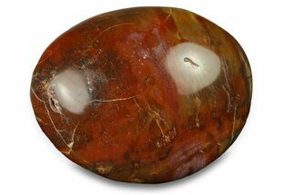 Polished Triassic Petrified Wood Palm Stone - Madagascar #289766