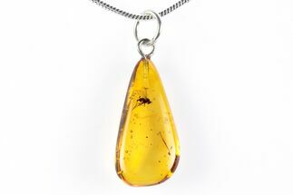Polished Baltic Amber Pendant (Necklace) - Contains Fly! #288835