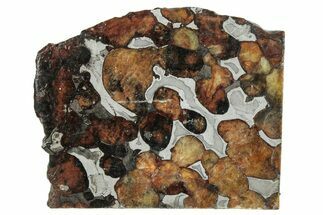 Polished Sericho Pallasite Meteorite ( g) Slice - Kenya #291270