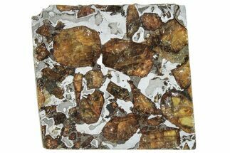 Brahin Pallasite Meteorite ( g) Slice - Belarus #291282