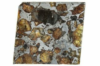 Brahin Pallasite Meteorite ( g) Slice - Belarus #291285