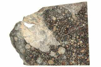 LL Chondrite Meteorite ( g) Slice - NWA #291405