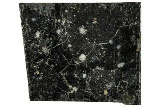 Polished, Starry Night Lunar Meteorite Slice ( g) - NWA #291414