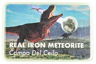 Campo del Cielo Iron Meteorite with Case - Argentina #291623