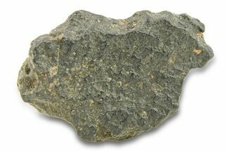 Abadla CM Chondrite Meteorite ( g) - Algeria #291490