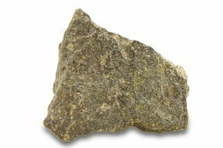 Abadla CM Chondrite Meteorite ( g) - Algeria #291502