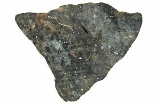 Lunar Meteorite ( g) Slice - Laayoune #291637