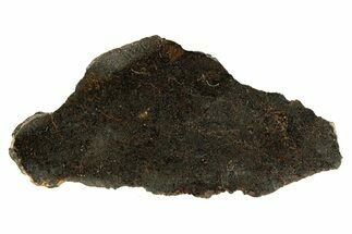 Polished Rafsa Angrite Meteorite Slice ( g) - Algeria #291754
