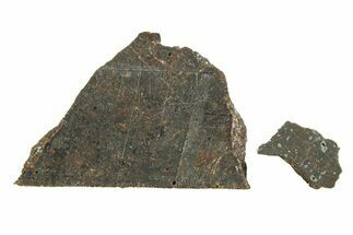 Polished Rafsa Angrite Meteorite Slice ( g) - Algeria #291771