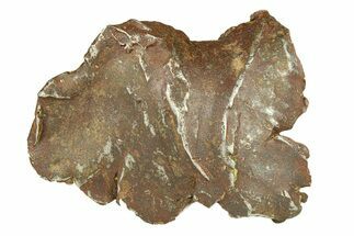 Gebel Kamil Iron Meteorite ( g) - Egypt #291787