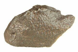 Gebel Kamil Iron Meteorite ( g) - Egypt #291816