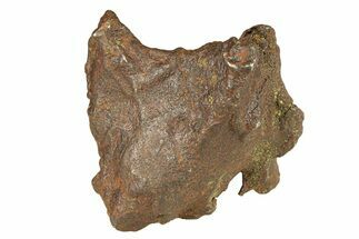 Gebel Kamil Iron Meteorite ( g) - Egypt #291819