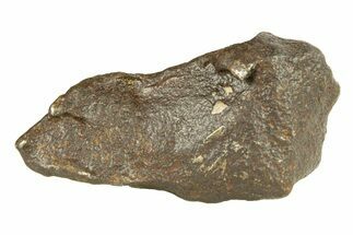 Gebel Kamil Iron Meteorite ( g) - Egypt #291823