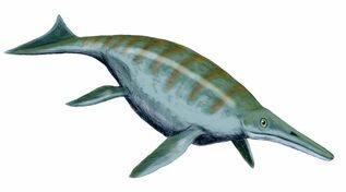 Nevada State Fossil - Ichthyosaur (Shonisaurus popularis) For Sale
