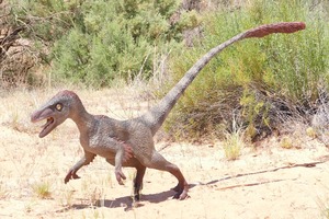 What Is A Raptor (Dinosaur)?