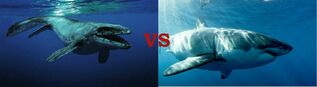 Megalodon vs Mosasaurus: Who would win? For Sale
